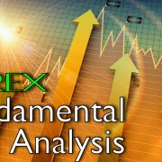 fundamental of forex trading networks